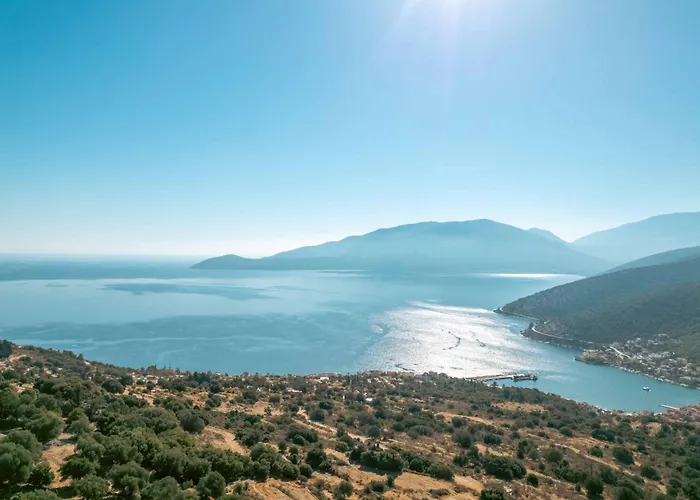 Villa Olive Grove Kefalonia *
